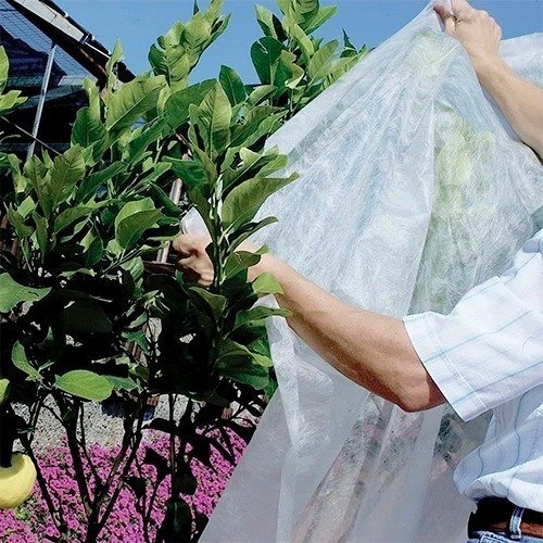 Tela Térmica Antihelada Plantas Y Cultivos - 4m X 25m