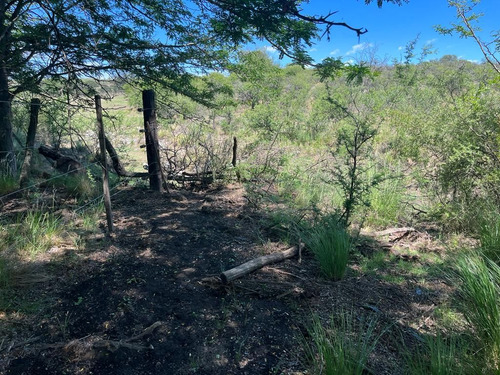 Venta Campo Villa Quillinzo (40 Hectareas) Ideal Para Loteo