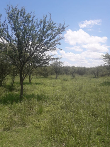 Imagen 3 de 7 de Campo - Lote Turistico - Santa Rosa De Conlara , San Luis