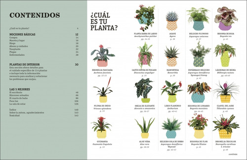 Como No Matar Tus Plantas, De Veronica Peerless. Editorial Dk, Tapa Blanda, Edición 1 En Español