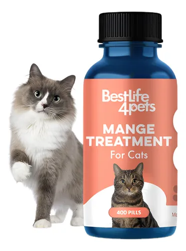 Tratamiento Natural Para Ácaros Del Oído En Gatos
