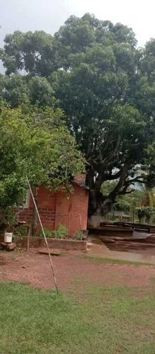 Imagen 4 de 9 de Mini Finca En Campo Carabobo