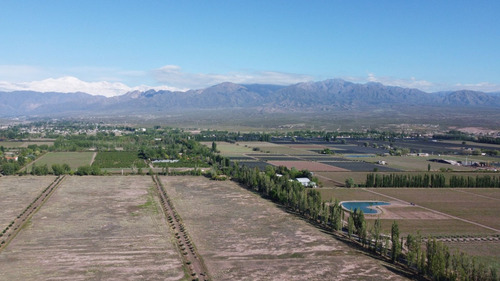 Venta Lotes Barrio Verona Vistalba Lujan De Cuyo