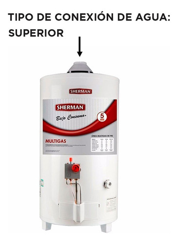 Termotanque A Gas Sherman By Rheem De Pie 50 Lts C. Superior