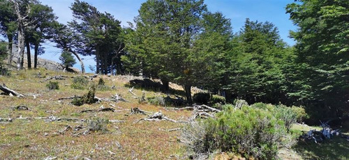 Imagen 7 de 14 de Macro Lote En Venta Coyhaique