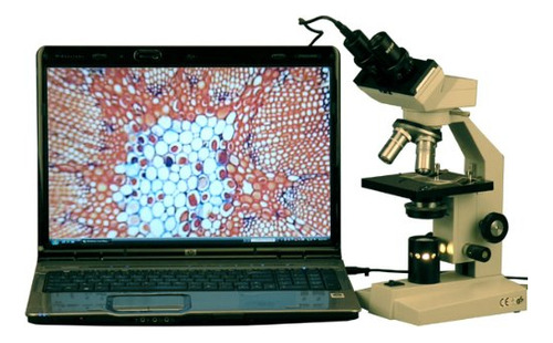 Amscope Microscopio Binocular Compuesto Digital B100b-e, Au.