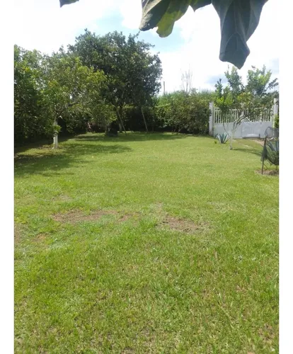 Venta Finca Productiva Montenegro Pueblo Tapao - 11 Cuadras