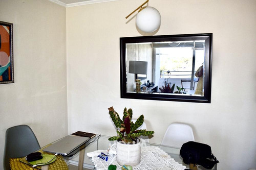 Departamento Celia Zegers Id: 144344