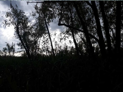 Imagen 13 de 15 de 18 Hectareas En Villa Paranacito Ideal Ganadero O Plantacion