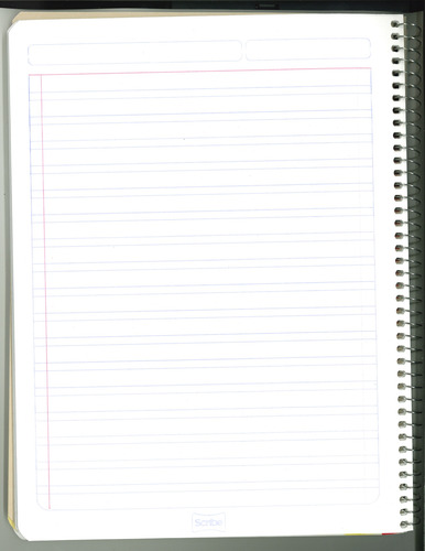 Cuaderno Profesional Scribe 100 Hojas C/ Espiral 5pzs