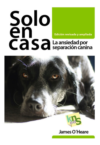 Solo En Casa. La Ansiedad Por Separación Canina