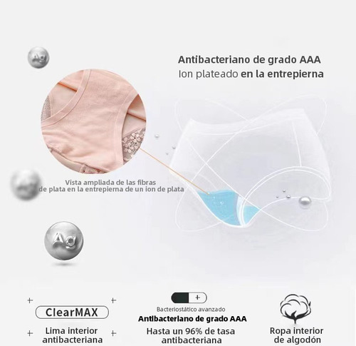 Bragas Transpirables Y Cómodo De Seda Hielo De Encaje 6 Pcs