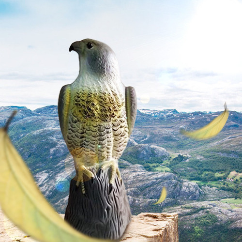 La Vida Como Yo Ahuyenta A Los Pájaros Y A Las Palomas Del J