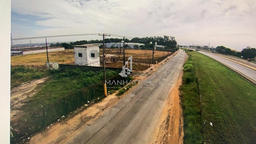 Imagem 3 de 4 de Área À Venda Em Vila Bertini - Ar004731
