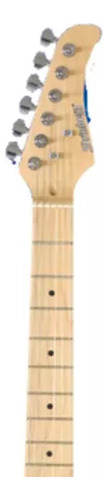 Guitarra Strinberg Regulada Sgs220