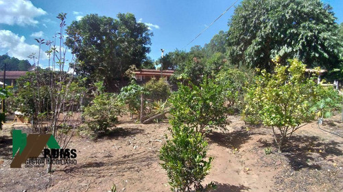 Imagem 5 de 16 de Oportunidade Com Potencial Para Investir Em Uma Chácara Com Perfil De Sitio No Circuito Das Águas - Ch0349