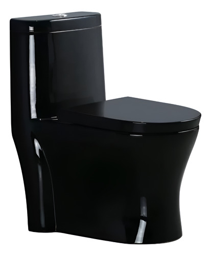 Sanitario Wc One Piece Joytek Descarga A Piso 30 Cm Negro