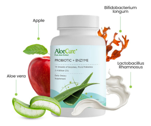 Aloecure Probiótico + Cápsulas Enzimas Con Prebióticos, 2.4
