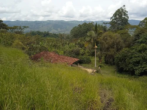 Finca En Guacamayas, Santander, Al Día En Documentos.