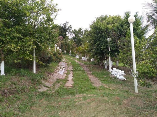 Imagem 1 de 19 de Chácara Com 4 Dormitórios À Venda, 20000 M² Por R$ 456.000,00 - Campo Alegre Iv - Bofete/sp - Ch0021
