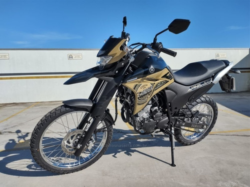 Imagem 10 de 10 de Yamaha Xtz Lander 250 Abs 2022 0km Er