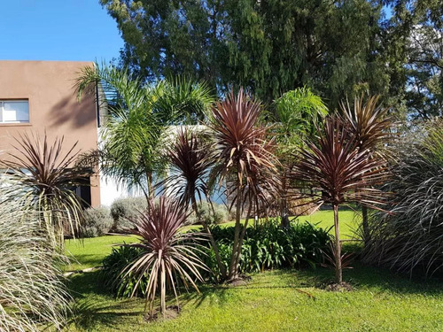Casa En Alquiler - 3 Dormitorios 3 Baños - Cochera - 836mts2 - La Plata