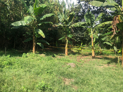 Lote En Venta Albania Cuba - Pereira (279056047).