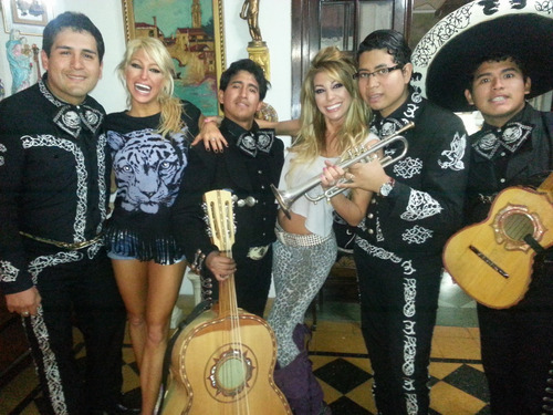 Mariachis Contratar Mariachis Serenata Animacion Show Zona