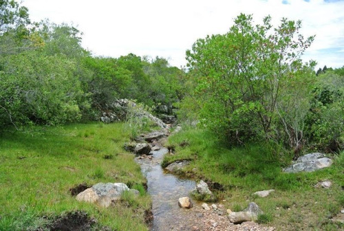 Quinta | Ruta 12 Y 5kms De Camino Vecinal