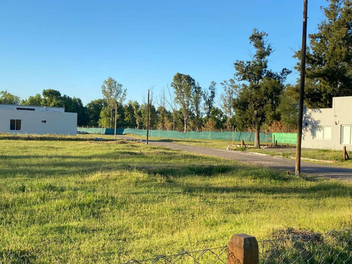 Imagen 4 de 21 de Lote En Barrio Semi - Cerrado 10x32.5 M2- Francisco Alvarez -venta Por Cesion