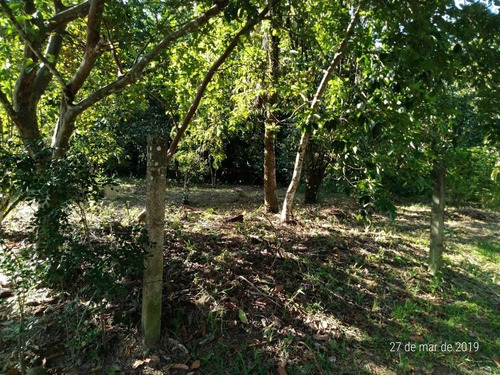 Terreno Para Venda, 622.5 M2, Guaratiba - Rio De Janeiro - 734