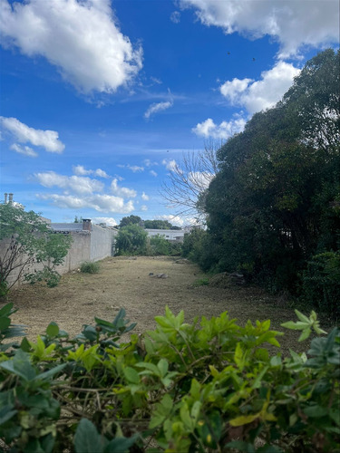 Se Alquila Terreno En Carrasco Norte