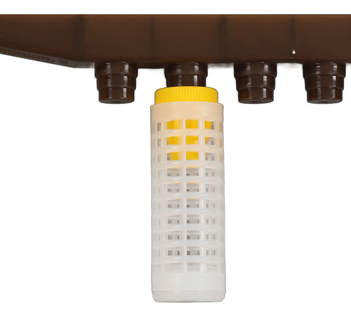 Kit De Crianza De Abejas Queen Bee, Juego De Marcos Para Cel