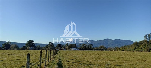 Imagen 14 de 23 de Agrícola En Venta En Puerto Montt