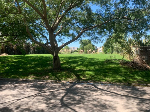Imagen 2 de 9 de Venta De Lote En Canton Norte Laguna