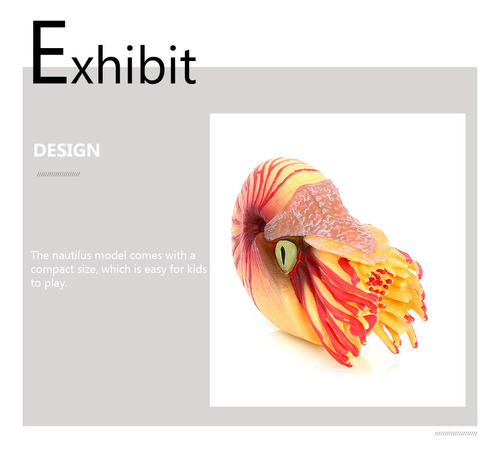 Adorno Simulado Con Forma De Nautilus, Modelo De Animal Mari