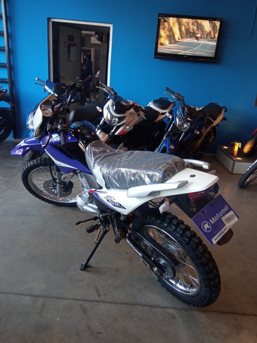Imagen 8 de 15 de Motomel Skua 150