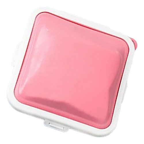 Cajas De Sándwich Portátiles Contenedor De Rosa