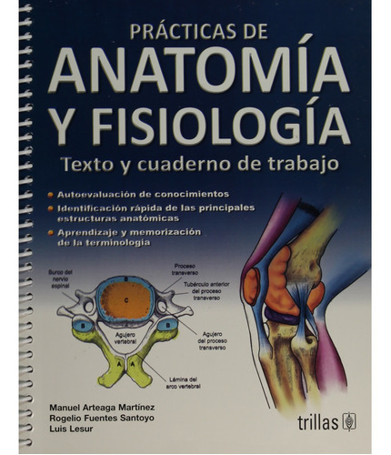 Prácticas De Anatomía Y Fisiología