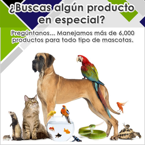 Imagen 7 de 9 de Alimento Gourmet Para Conejo, Cuyo, Hamster Comida Premium