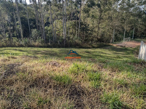 Imagem 3 de 3 de Terreno - Te00059 - 69827064