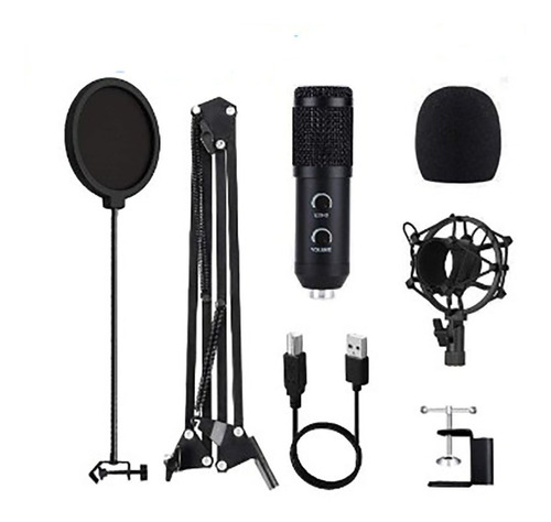 Kit Micrófono Condensador Profesional Con Soporte Bm-838tz