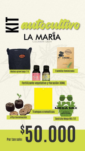 Kit De Autocultivo Con Semilla Feminizada