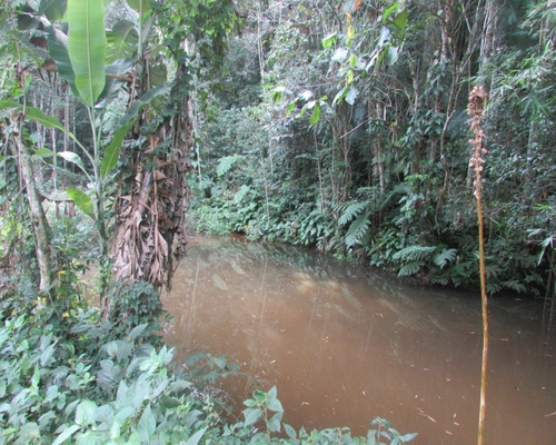 Imagem 4 de 21 de Terreno - 04611 - 33229241