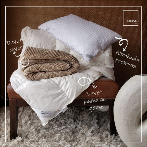 Edredon Plumon Duvet Plumas De Ganso Americanos + Almohada