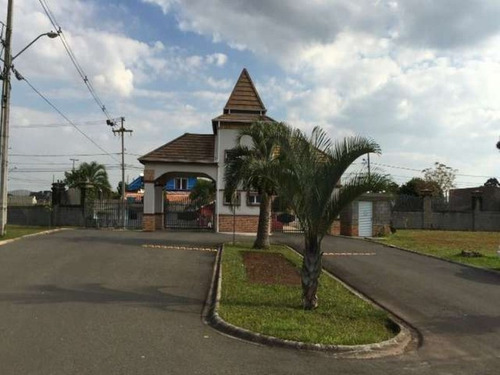 Imagem 5 de 30 de Excelente Terreno São Braz - Te-0448 - 3295582