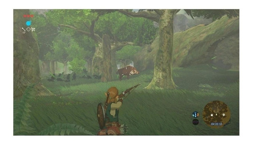 Legend Of Zelda Breath Of The Wild Nintendo Switch