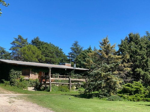 Venta De Complejo De Cabañas En Villa General Belgrano - Cab0054