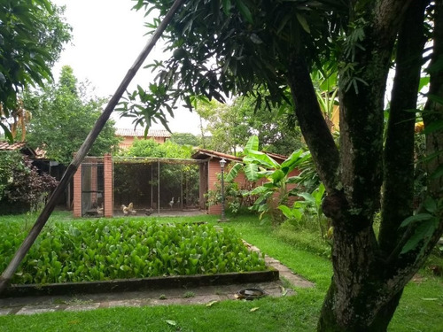 Imagem 3 de 8 de Terreno Em Várzea Das Moças, Niterói/rj De 450m² À Venda Por R$ 350.000,00 - Te1260187-s