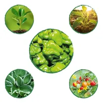 Comprar Kit De Fertilizantes Para La Siembra De Ají Habanero Verde